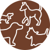 Icono exceso de perros